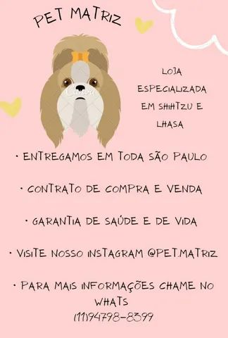 Compre hoje mesmo seu shih tzu com garantia (loja)