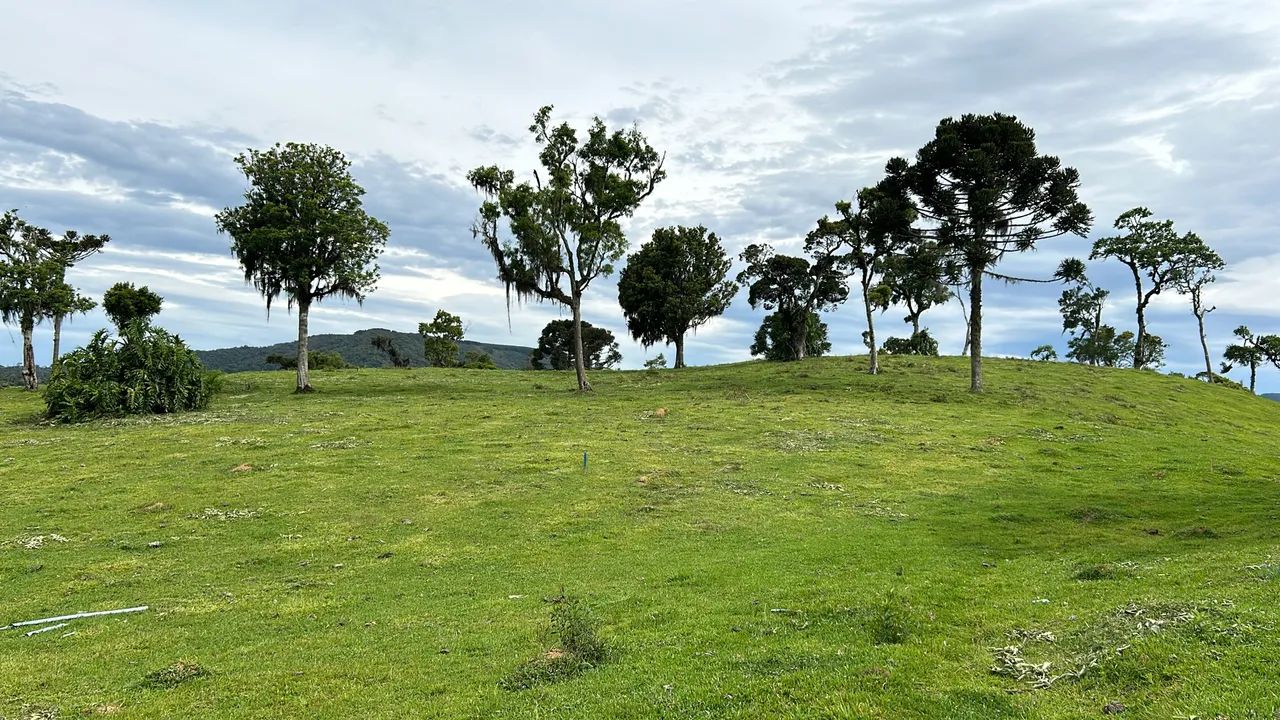 Chácaras na Serra Catarinense - Rancho Queimado - Foto 2