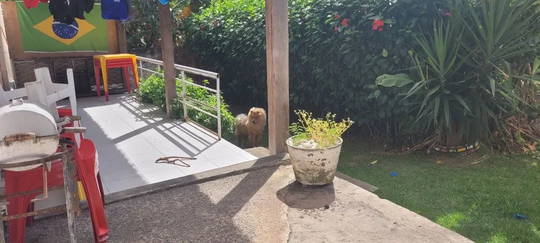 Casa para alugar no São João 