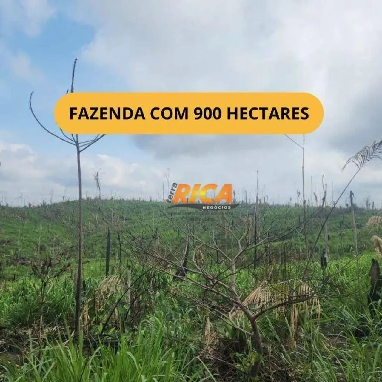 Vende-se uma Excelente Fazenda de 900 Hectares em Apuí/AM