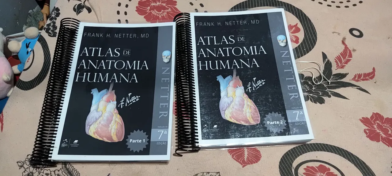 Vendo Atlas de Anatomia Humana de Frank H. Netter - 7ª Edição