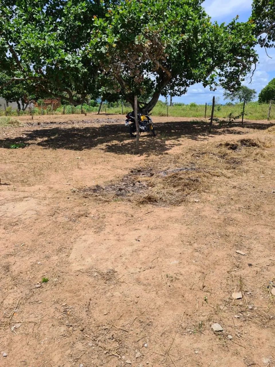 TERRENO - Foto 5