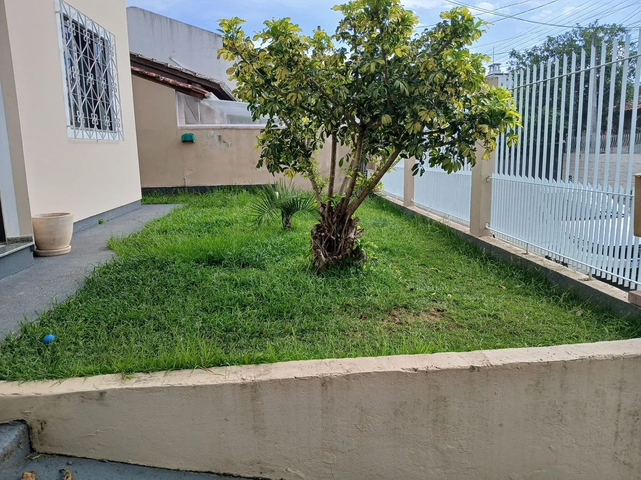 Paisagismo Jardinagem 