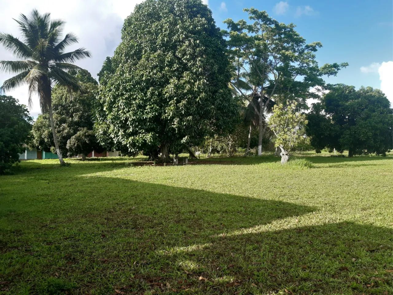 Terreno com 46.200m2 com vista privilegiada em igarassu - Foto 6