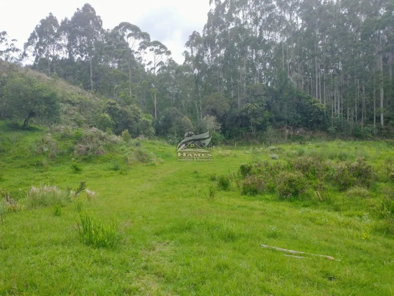 Terreno Rural para Venda em Angelina, TERCEIRA LINHA