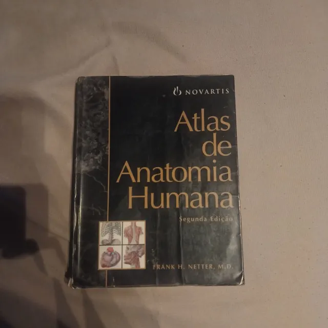 Atlas de Anatomia Frank Netter 2a Edição