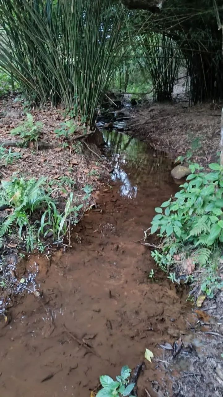 Terreno de 5 hectares em em serra azul 