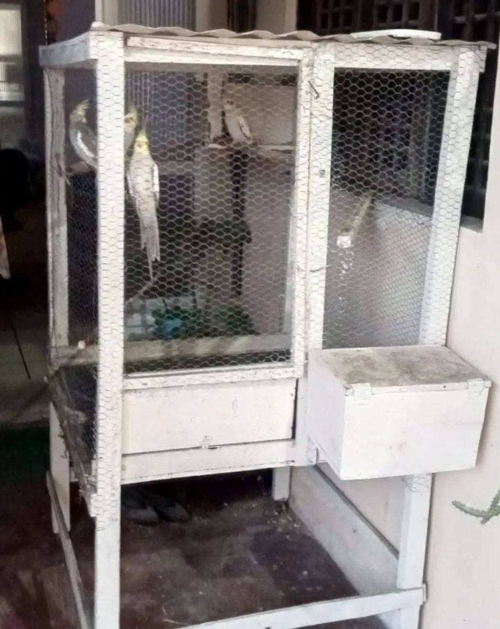 Viveiro 64309467385089122