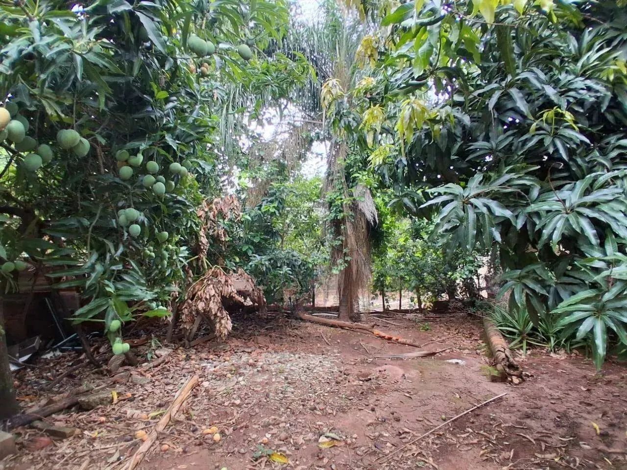Terreno à venda, VILA INDEPENDENCIA - PIRACICABA/SP - Foto 4