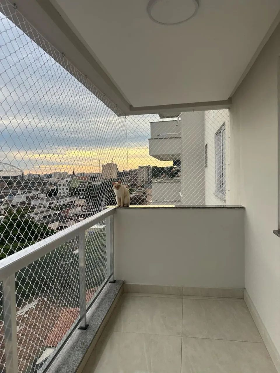 Rede de proteção para pets  - Foto 2