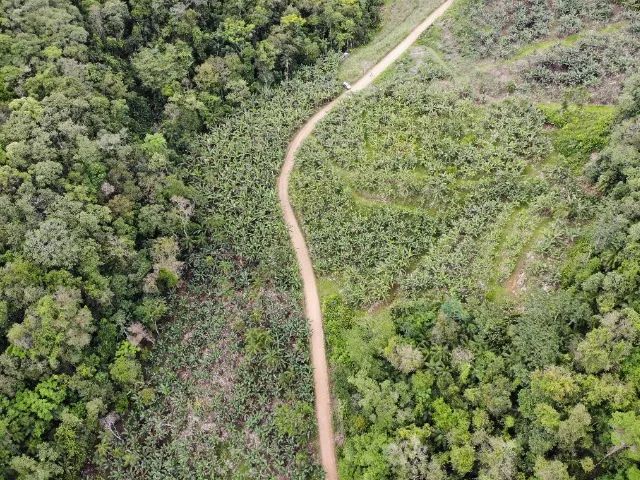 6,9 hectares  - Foto 5