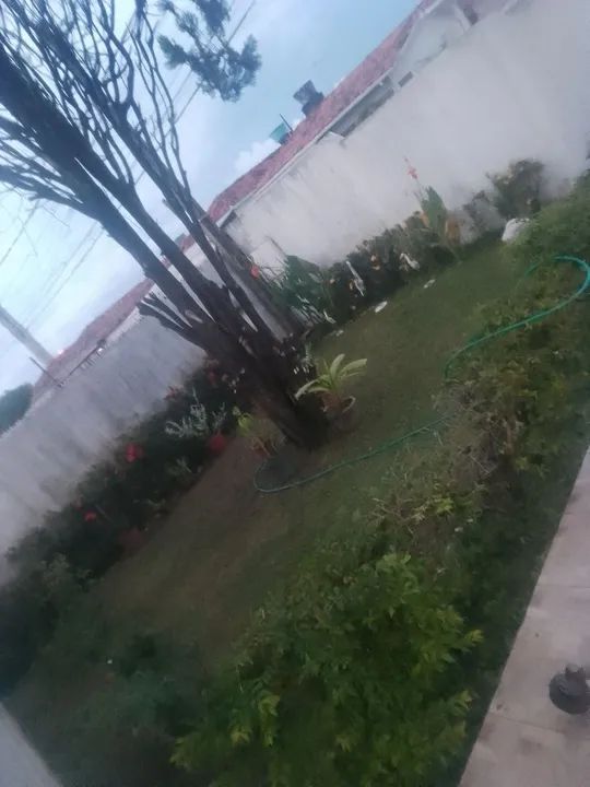 Limpeza Na Roçadeira  - Foto 2