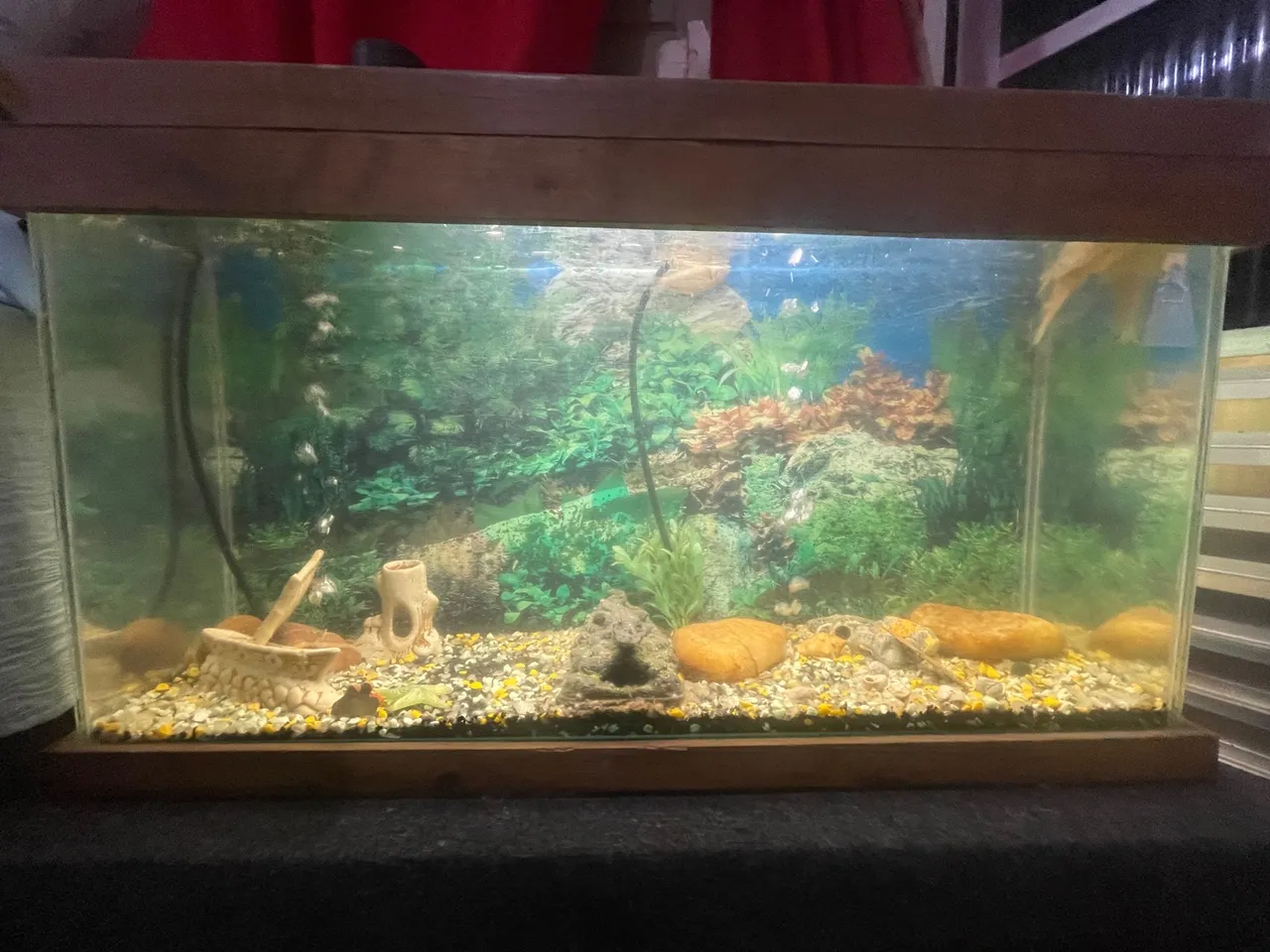 Aquário Decorado com Ornamentos e Detalhes