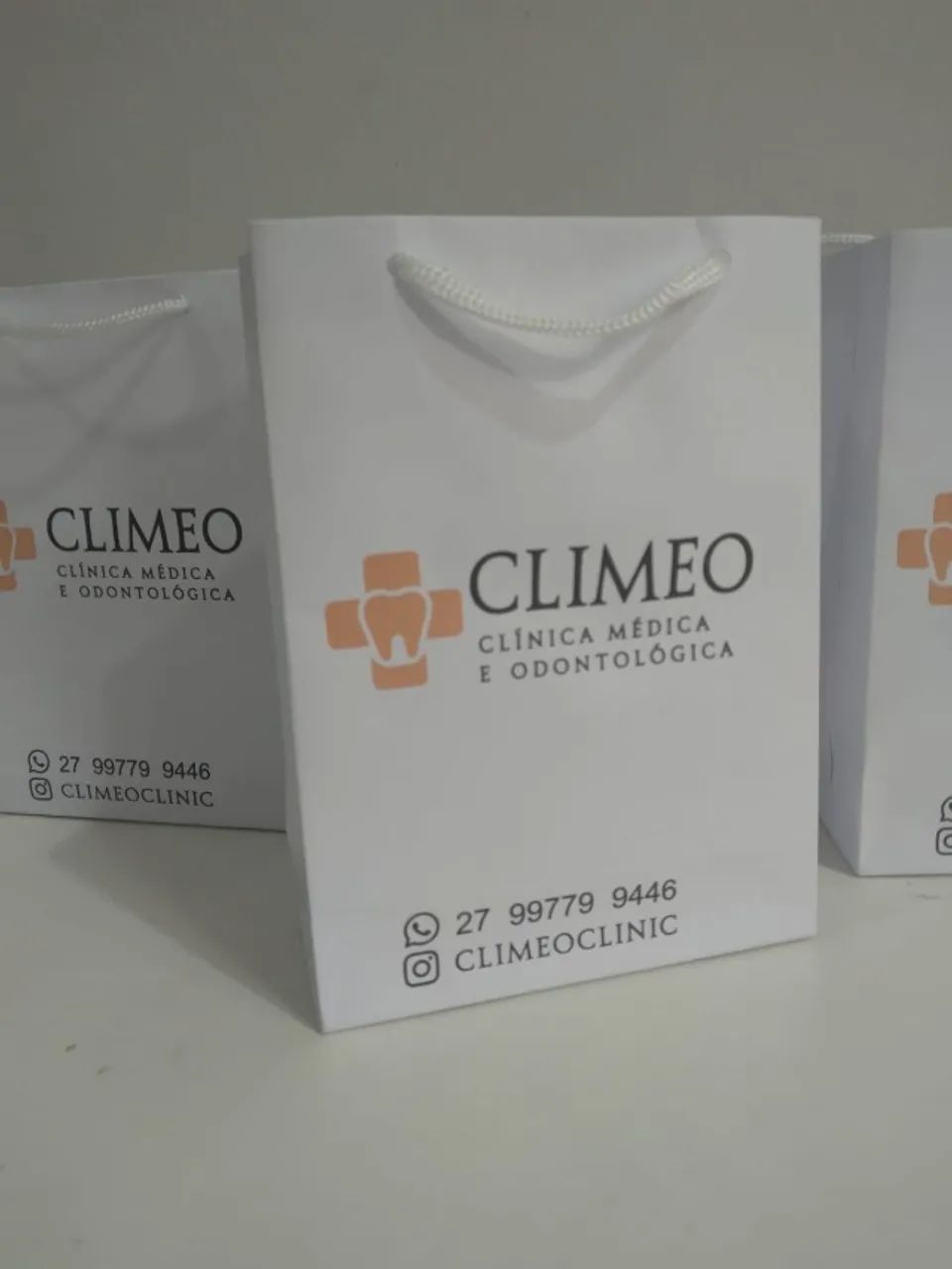 Sacolas de Papel Diversos Tamanhos e Modelos