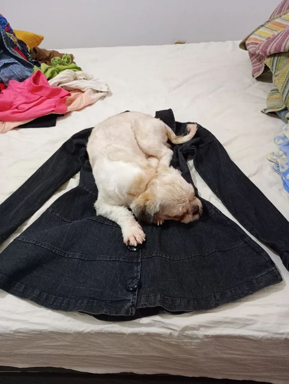 Moda e beleza  - Foto 3