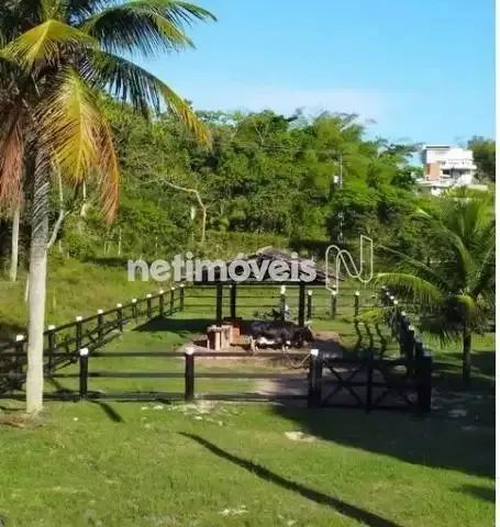 Terreno 600m²; em Condomínio Fechado  Fazenda Real Residence  BR-324 - Foto 5