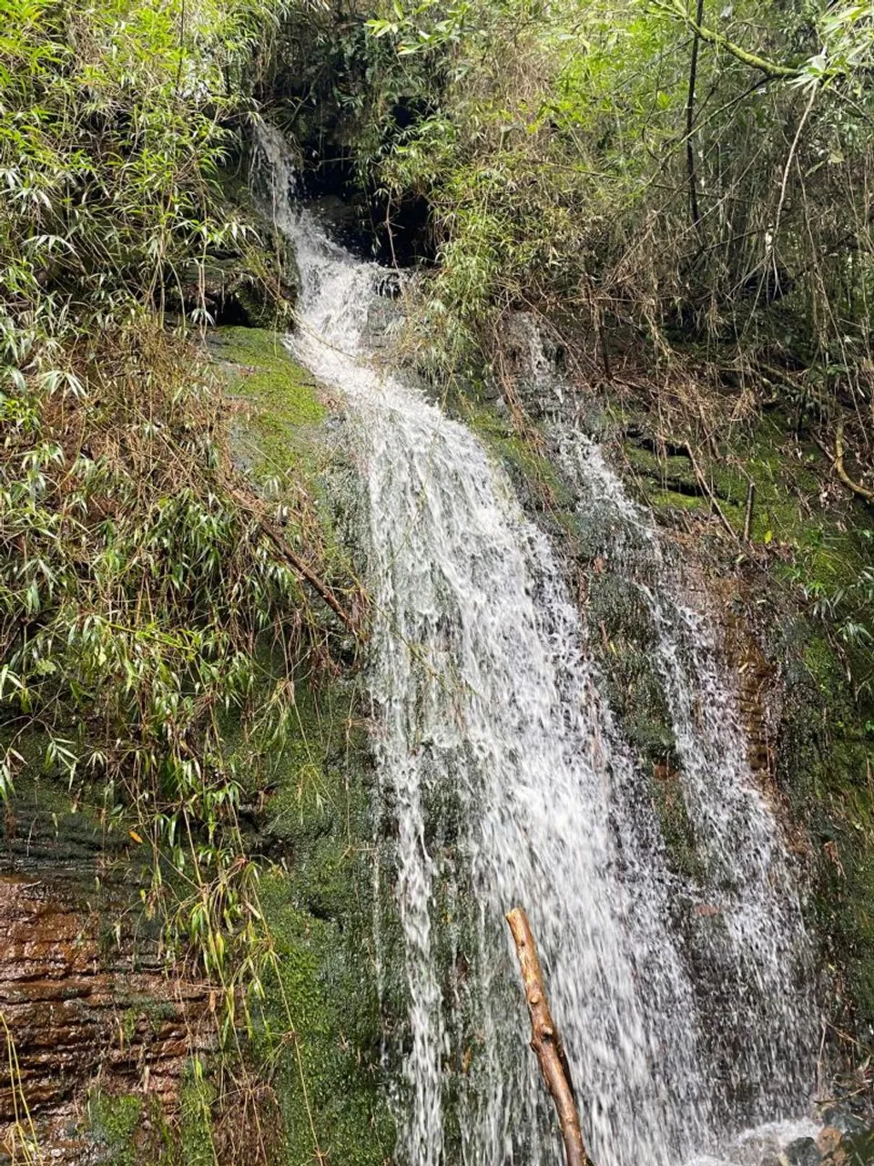 Sítio 9 hectares, próximo de Gramado