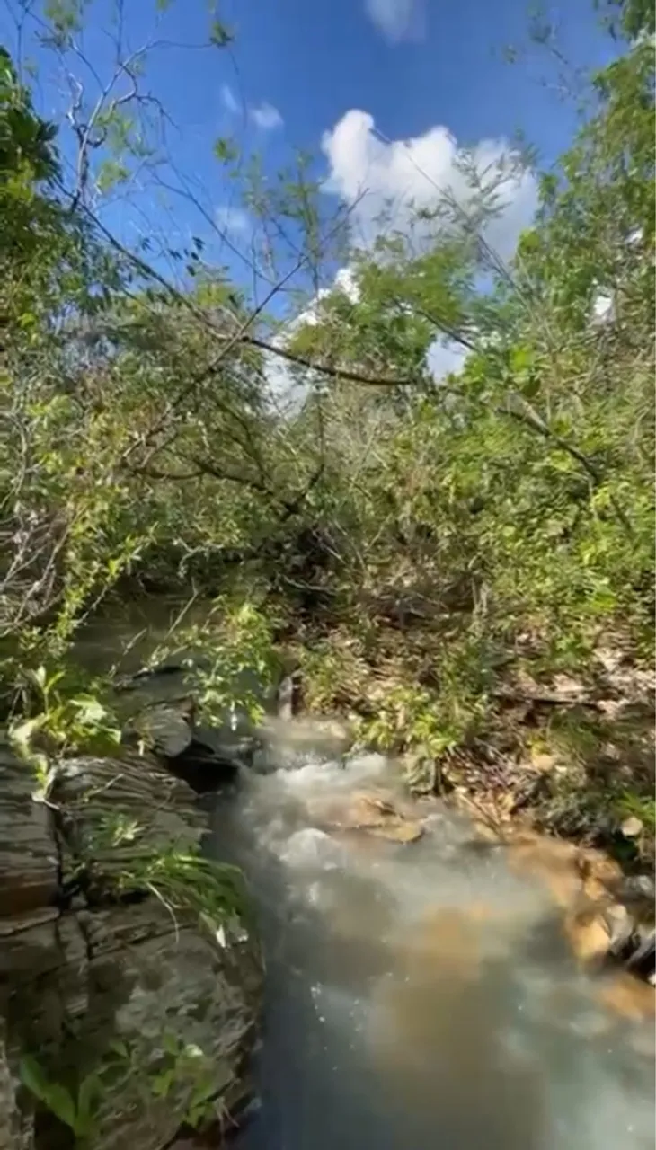 Vendo chacara em Cuiabá na rodovia da chapada no km34 