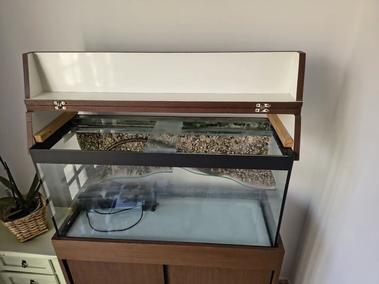 Aquário / Aquaterrário para Tartarugas e Peixes com armário - Foto 3