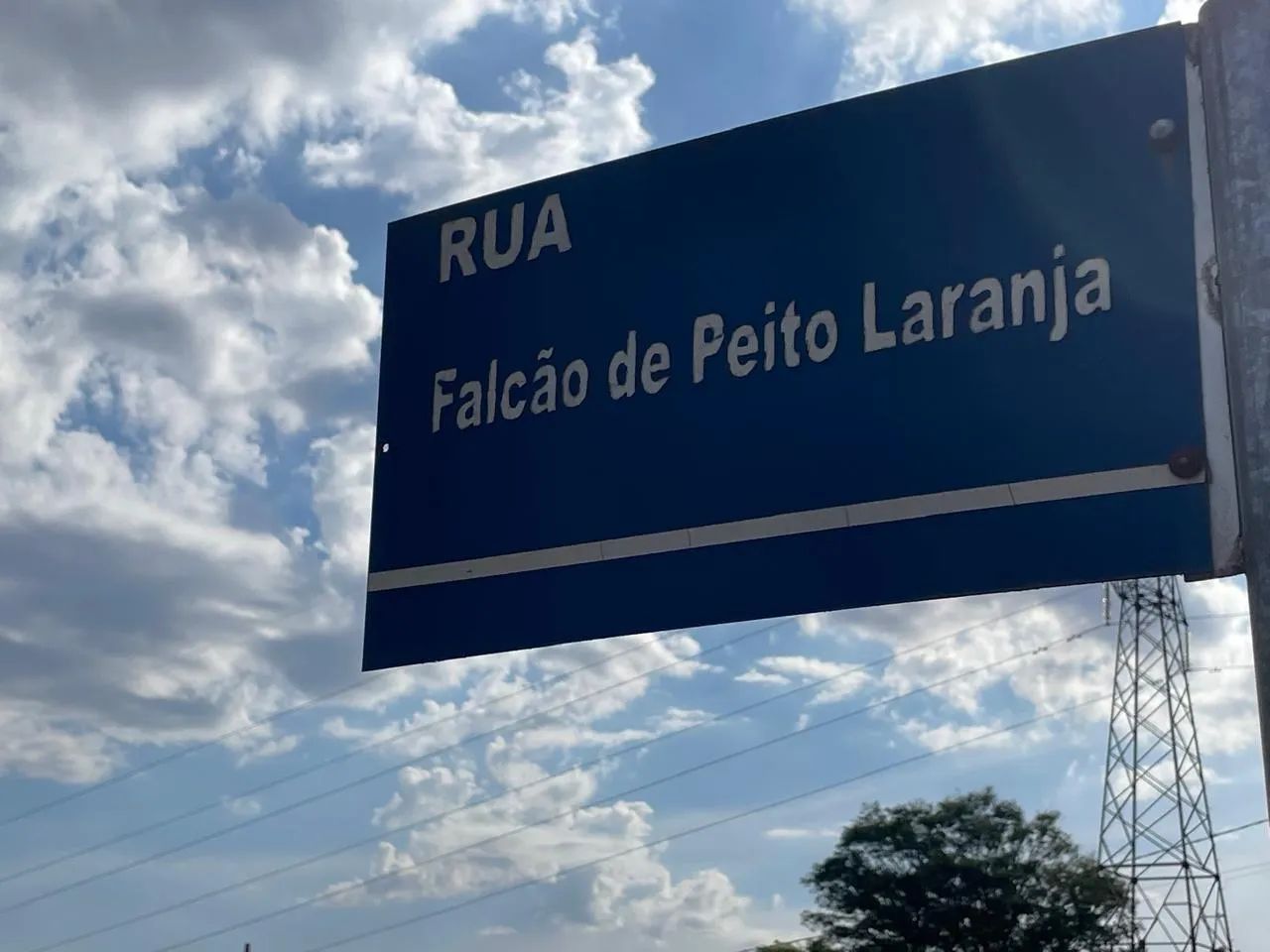 Terreno em Arapongas PR - Foto 2