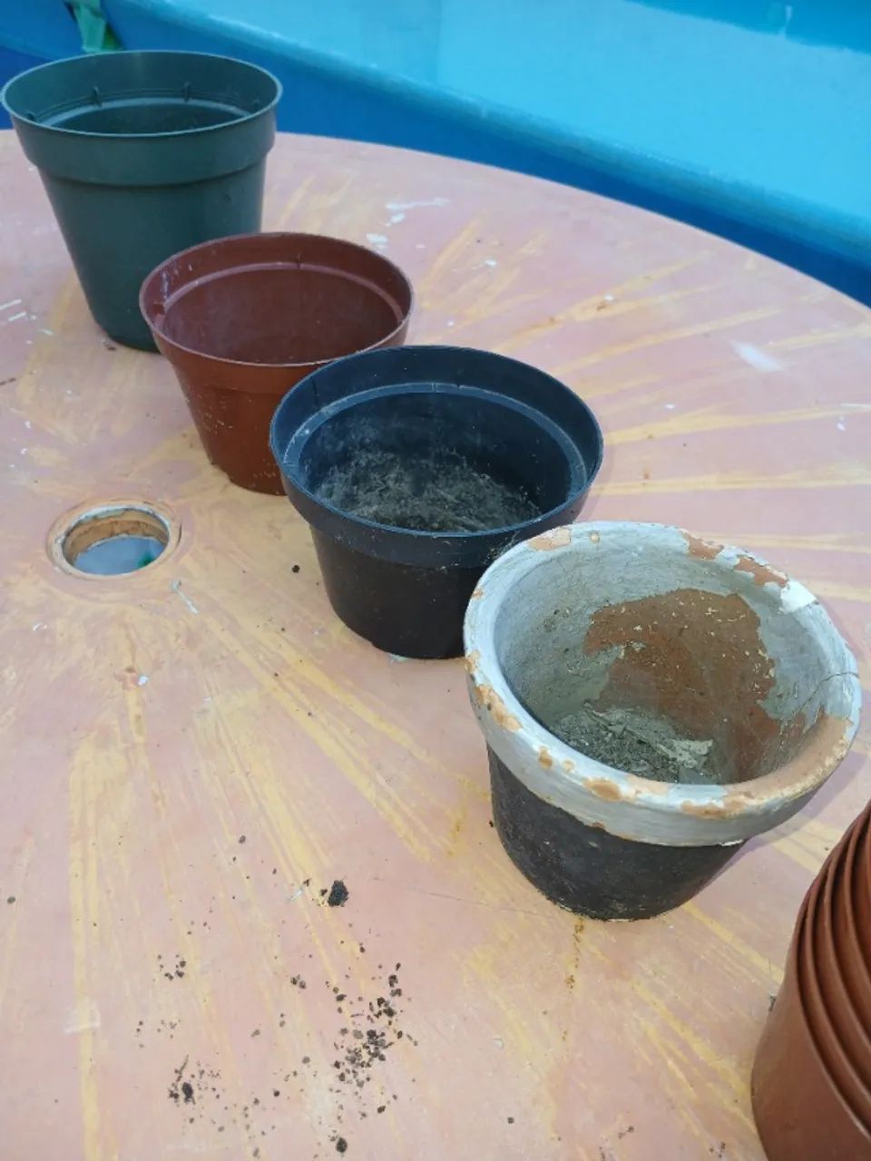 vasos pequenos para plantas todos juntos lote - Foto 4