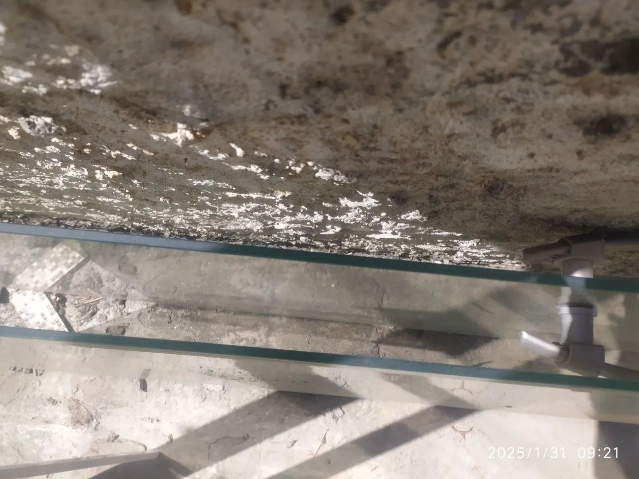 Portas de vidro temperado  - Foto 5