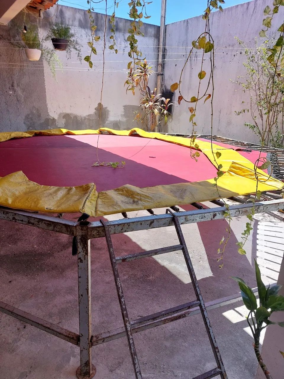 Cama elástica                         1.500,00