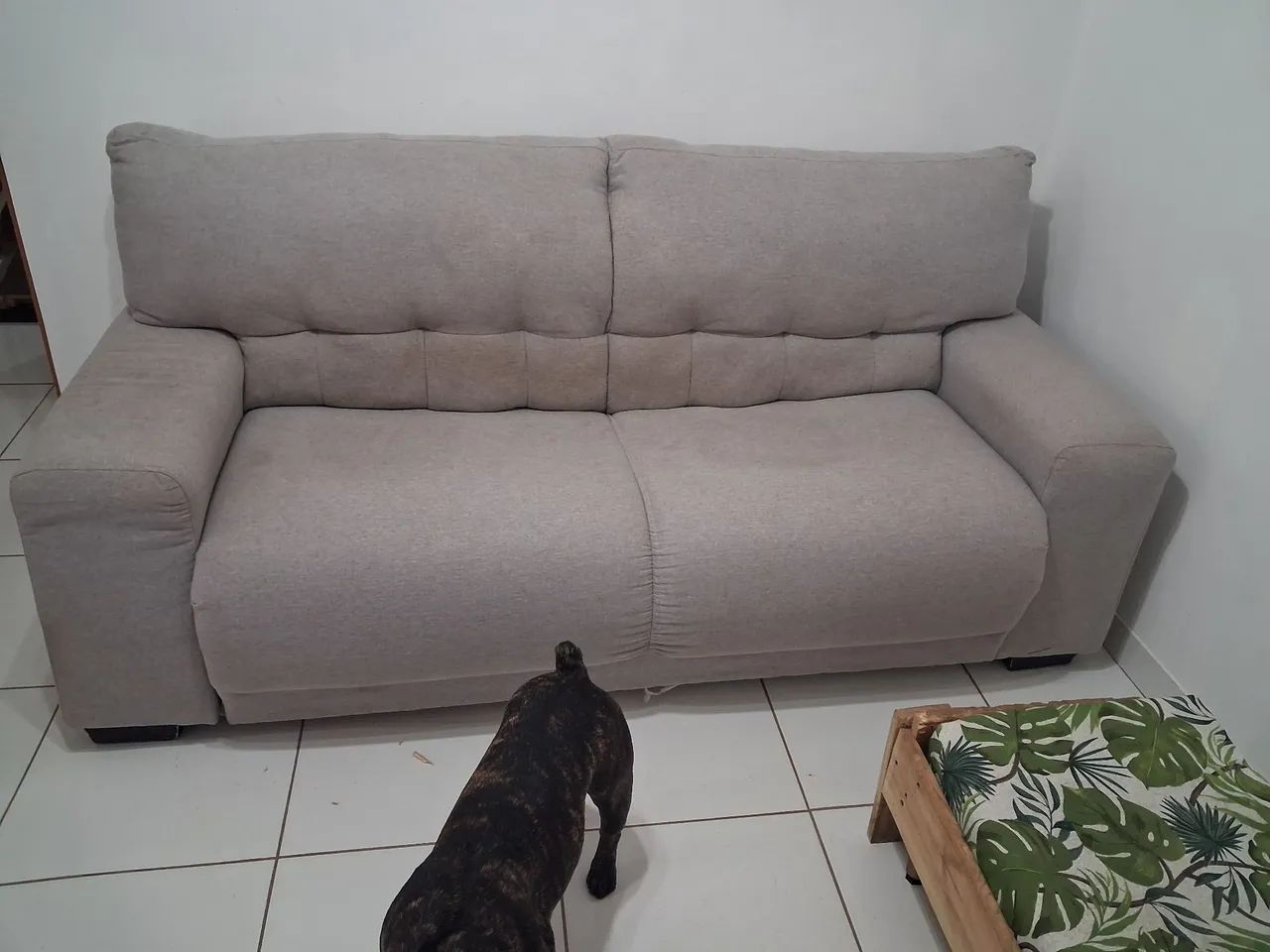 Sofa comum de 3 lugares