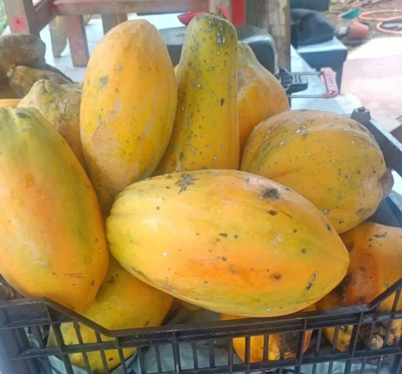 Melancia, Laranja e Mamão + entrega à domicílio  - Foto 2