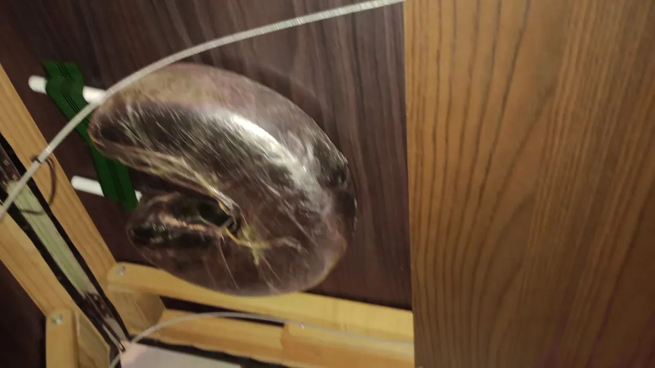 Maca portátil  - Foto 3