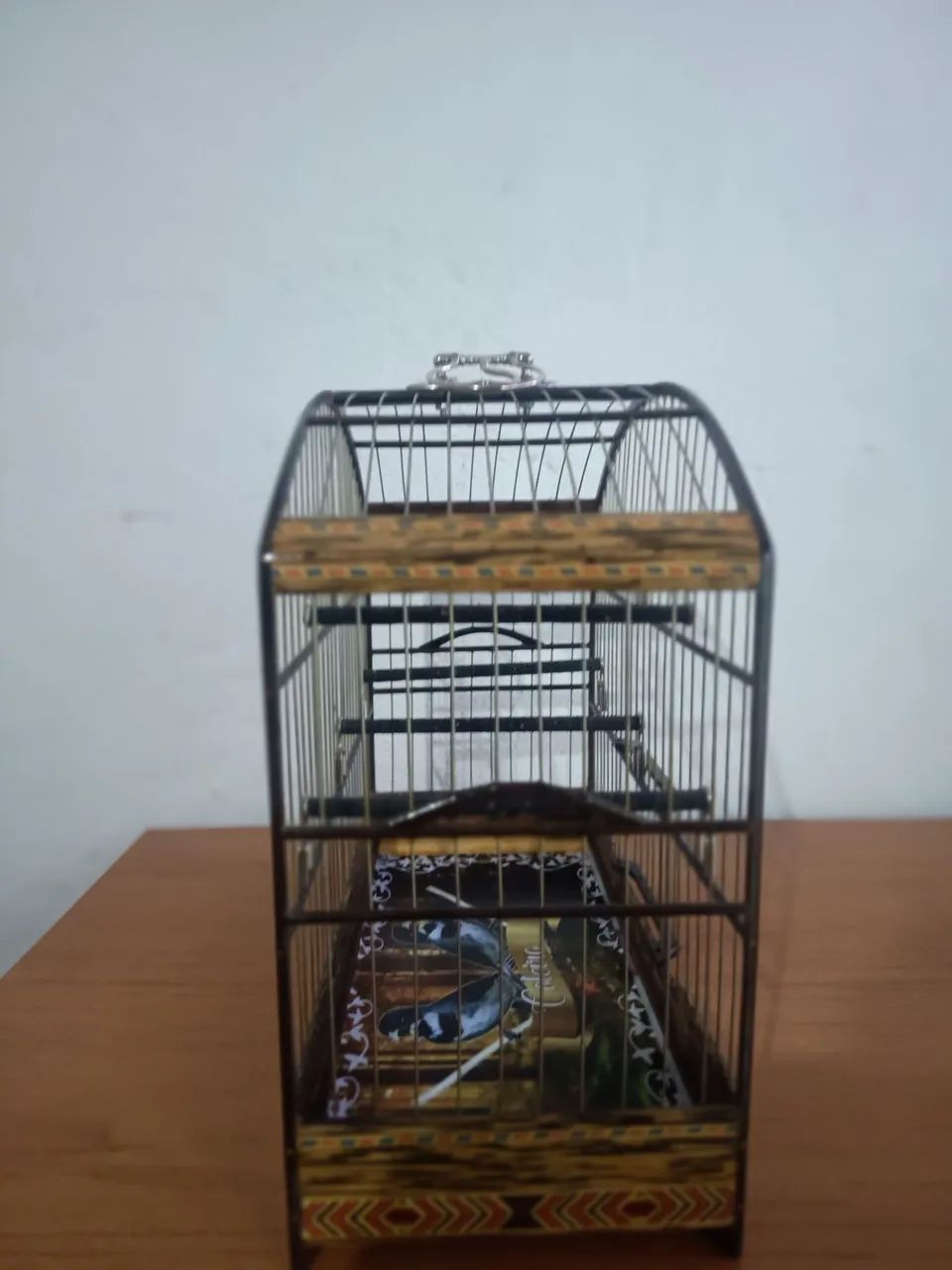 Gaiola De Passeio  - Foto 3