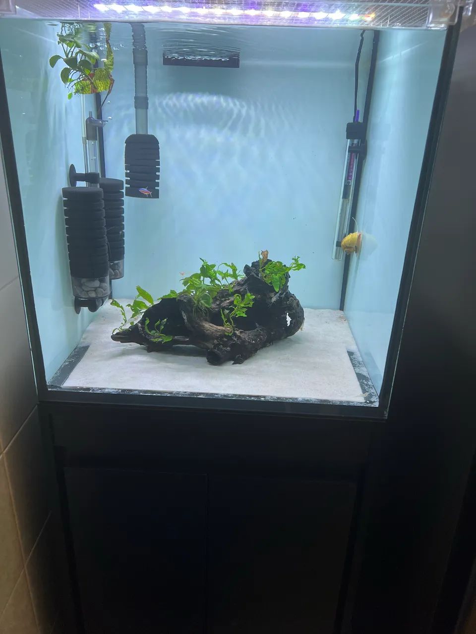 Aquário 125L Cubo 50x50x50cm Completo - Foto 3