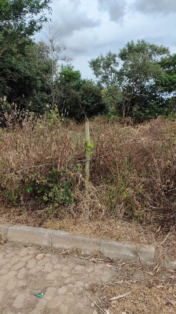 Vendo lote em campo verde  - Foto 4