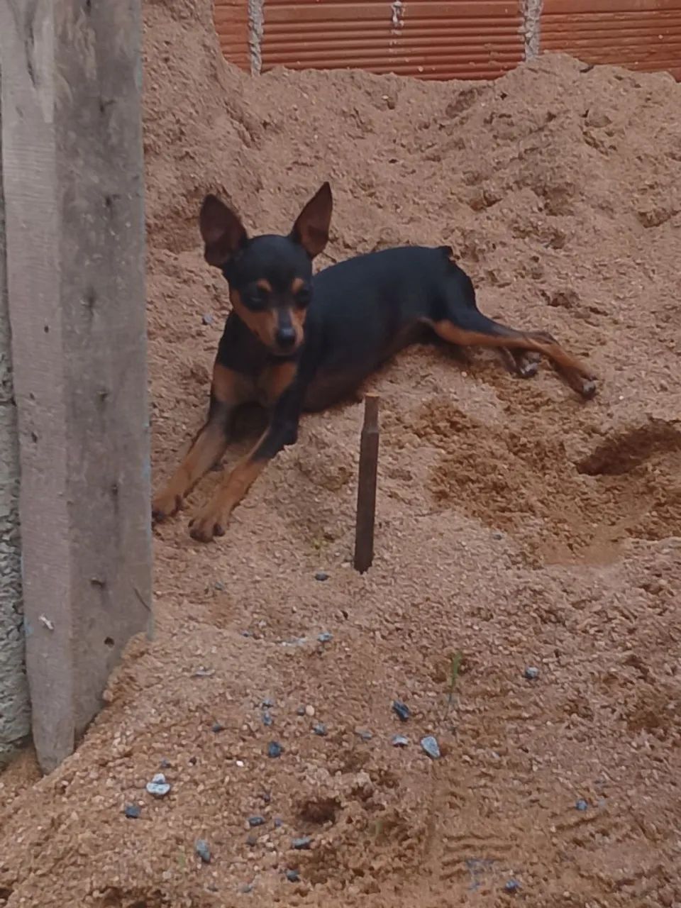 Vende se  - Foto 2