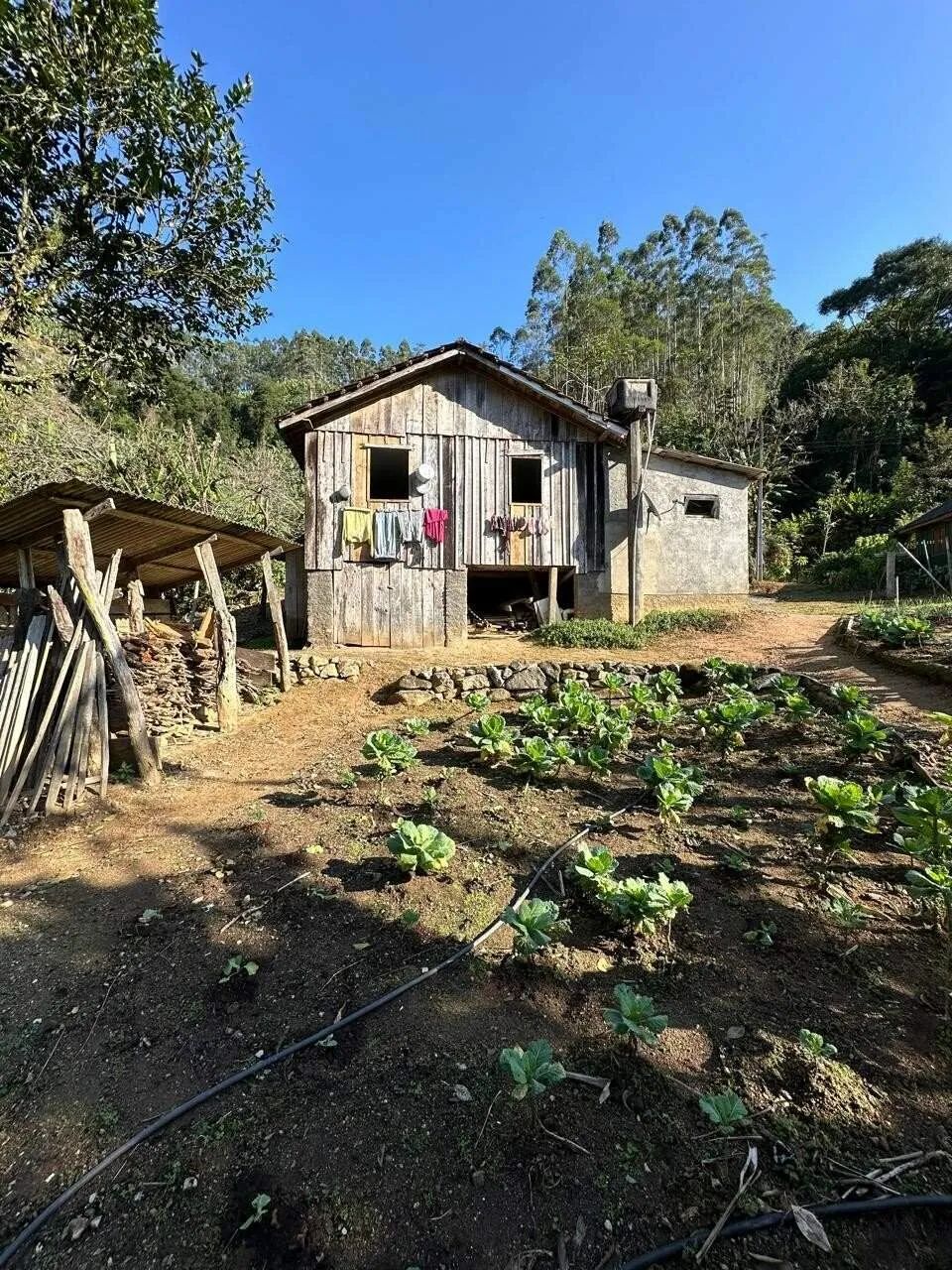 Sítio à Venda, Bairro Vila 12 em Antônio Carlos/SC - Foto 5