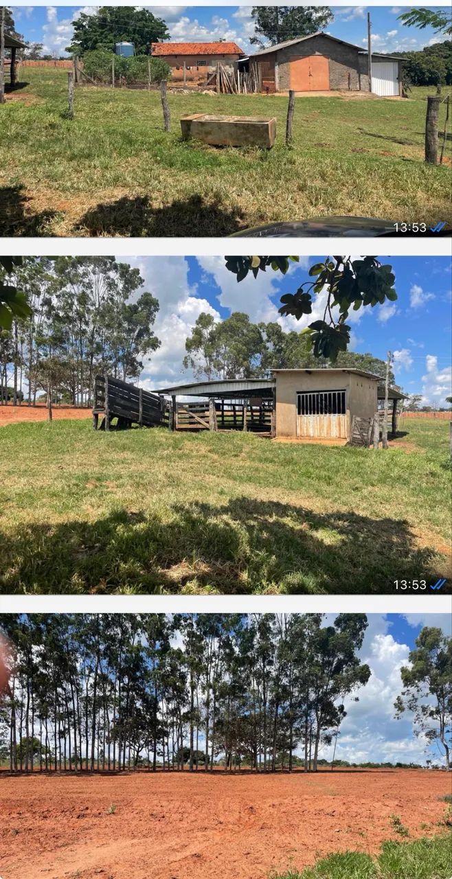 Fazenda em campo florido  - Foto 5