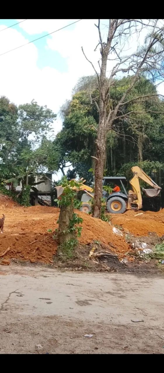 Terreno  - Foto 3