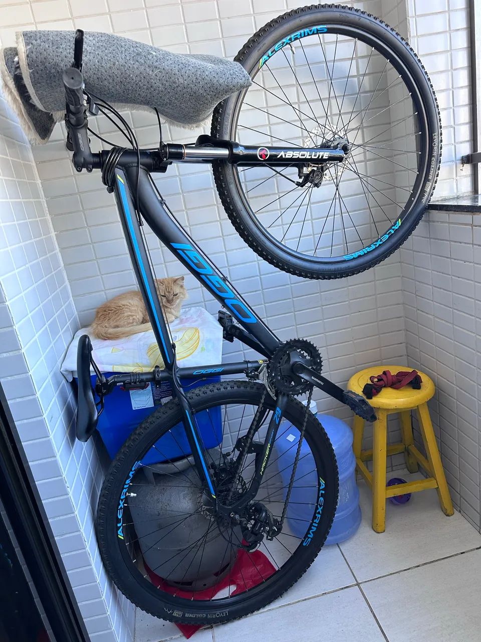 Bike OGGI - Foto 5