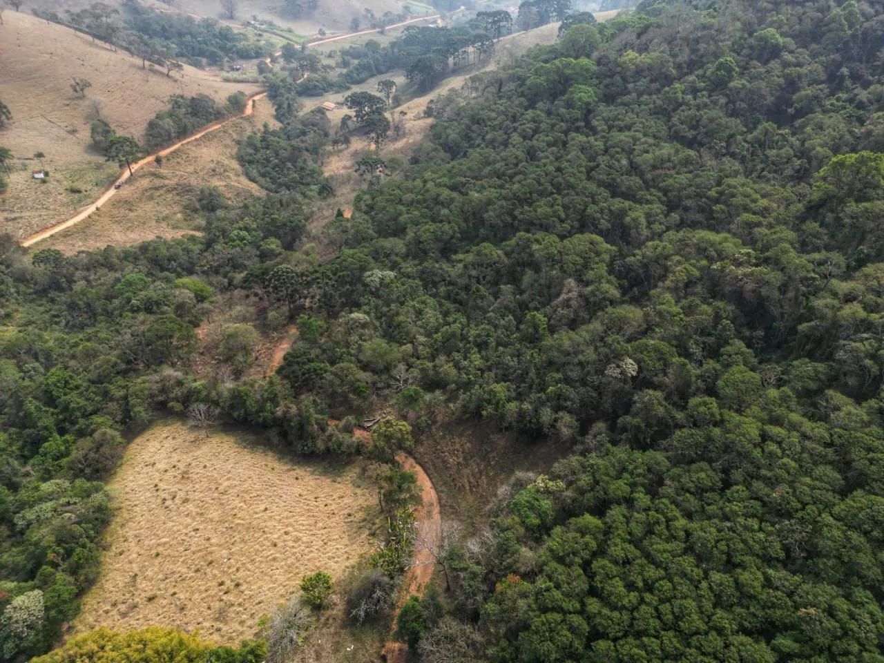 Terreno, 4 alqueires. - Foto 5