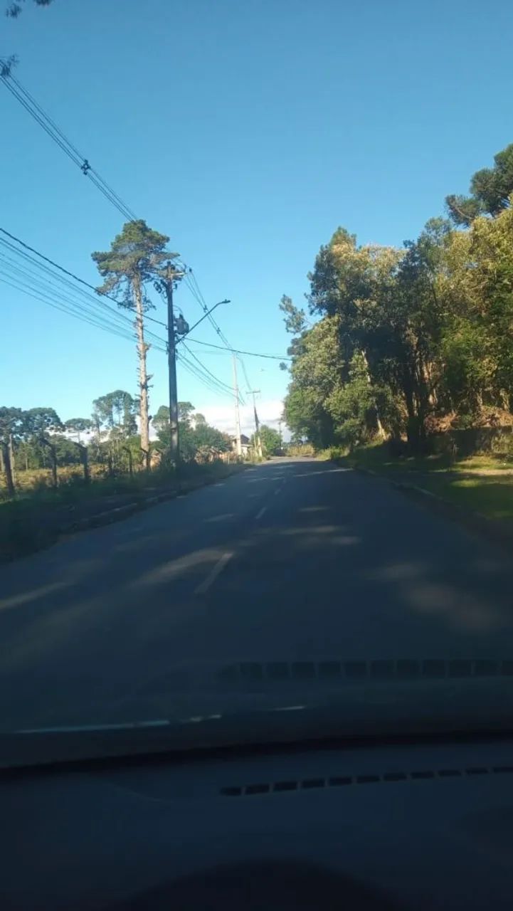 Oportunidade! Linda Chácara em São José dos Pinhais.   - Foto 4