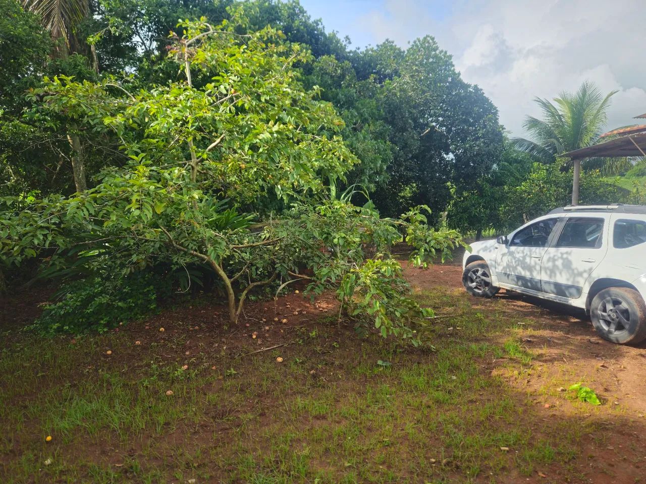 Chácara em Coração de Maria  - Foto 2