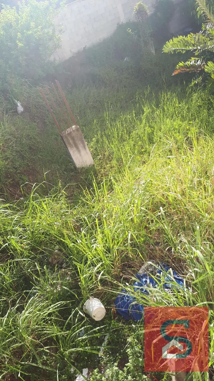 Lote / Terreno em Centro - Cabo Frio - Foto 4