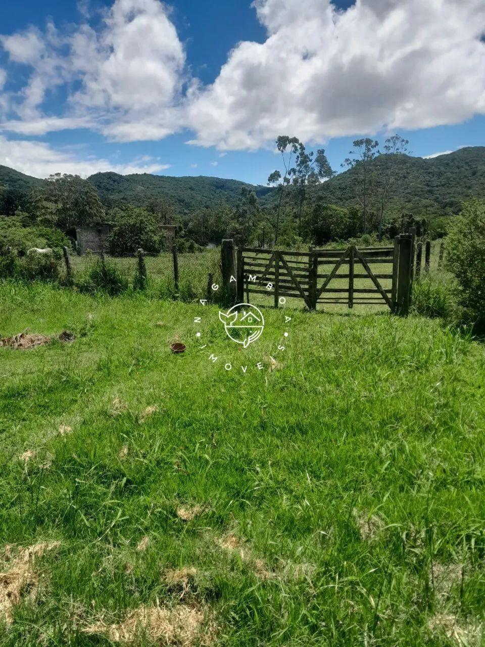 Sítio a venda no Ratones, Fpolis! - Foto 4