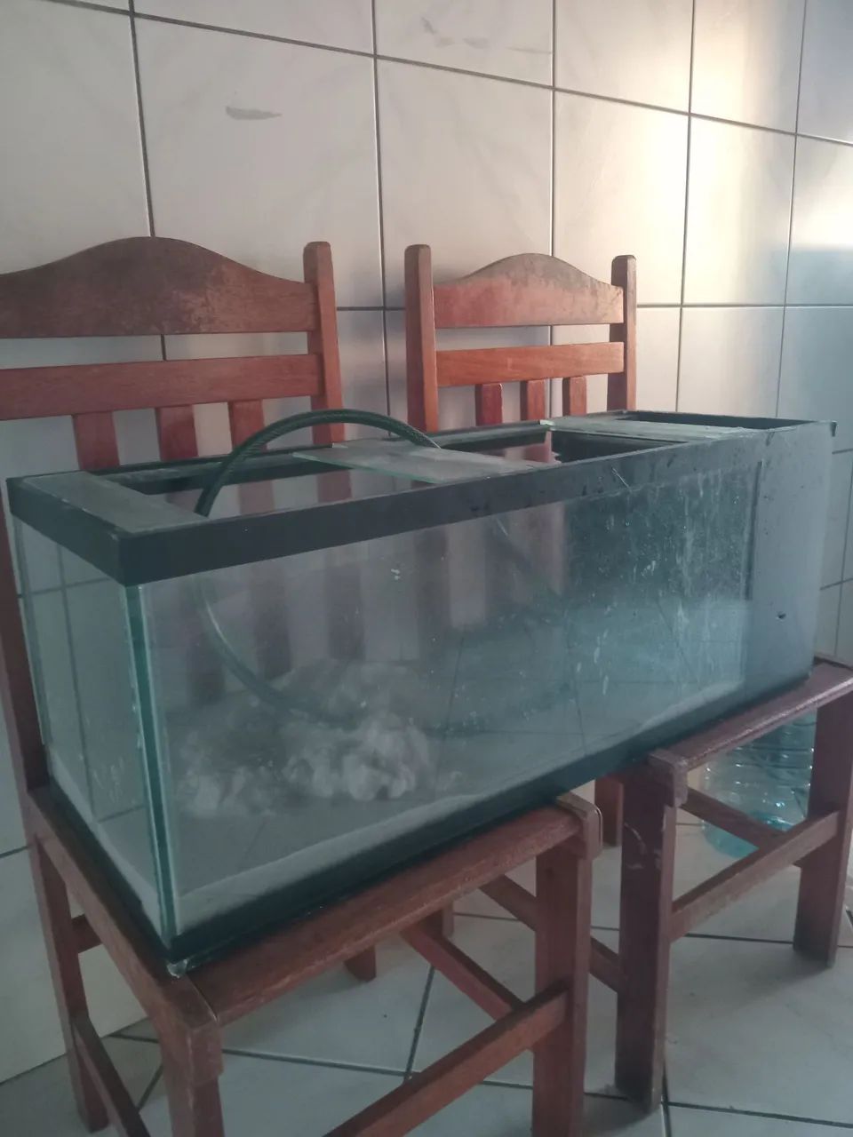 Aquário  - Foto 4
