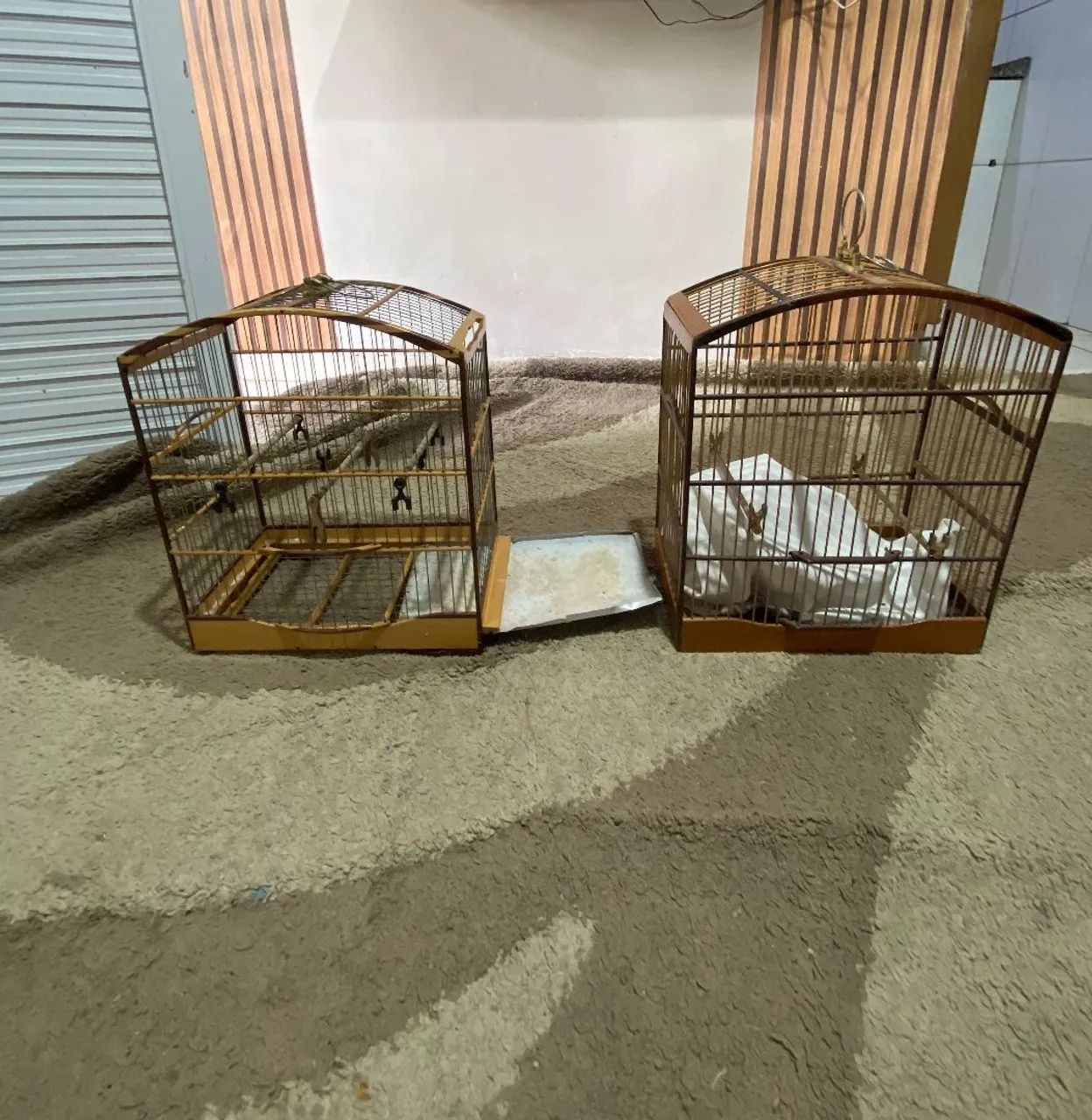 Gaiola de Tiziu  - Foto 2