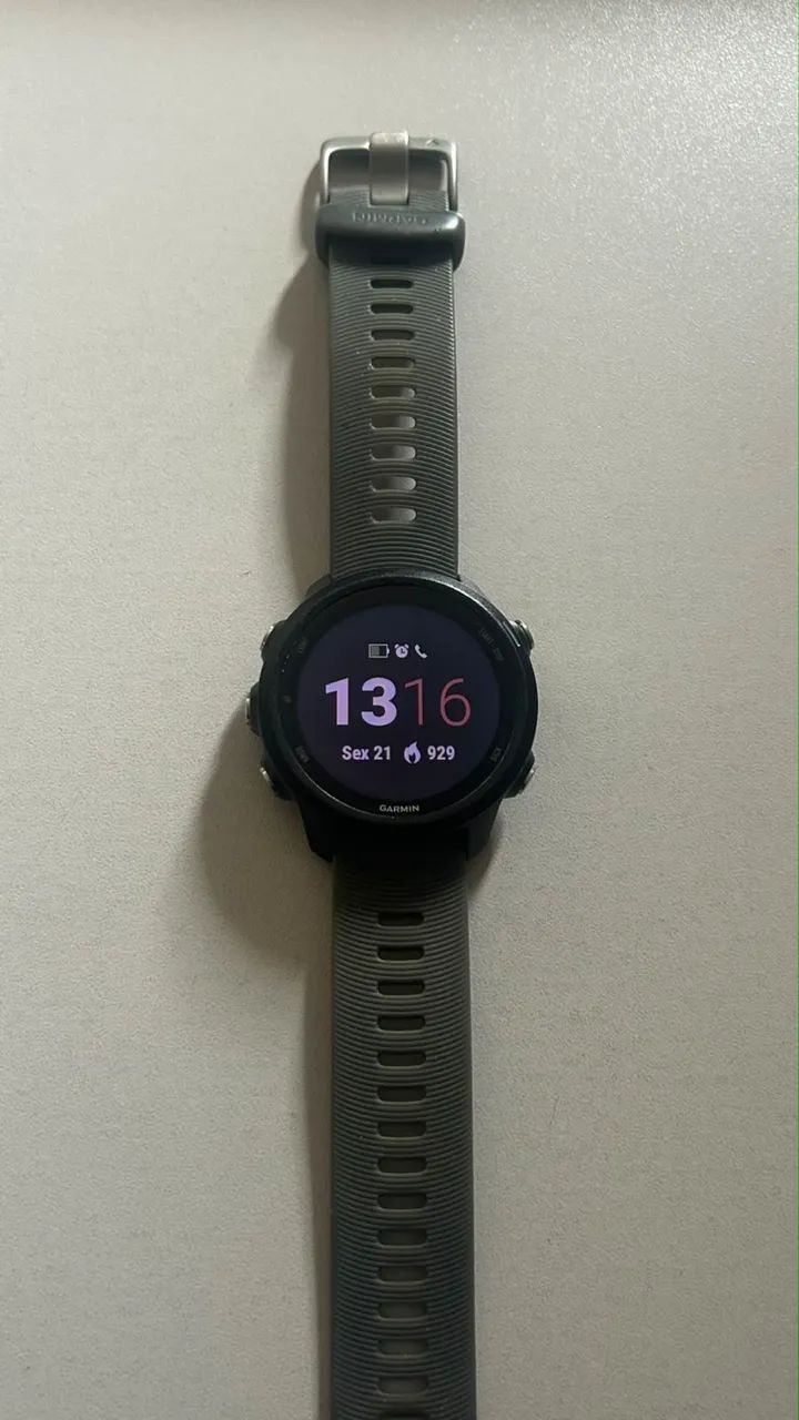 Garmin 245