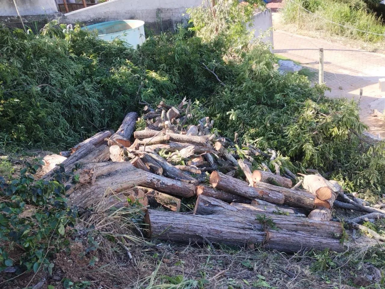 Doação Lenha.  - Foto 3