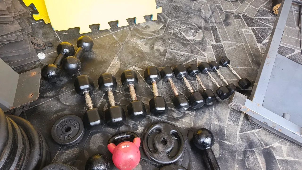 Halteres  - Foto 3