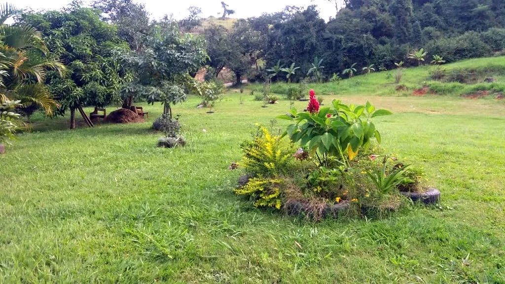 Sítio em Avelar - Paty do Alferes, RJ - Foto 5