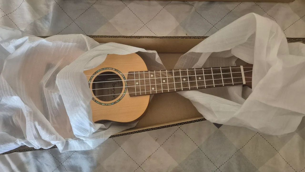 Ukulele elétrico Benson Solid 